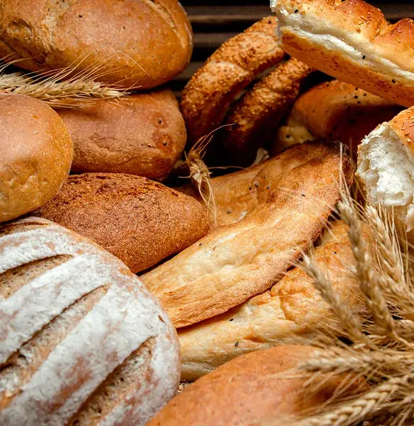 Segmentos Representados